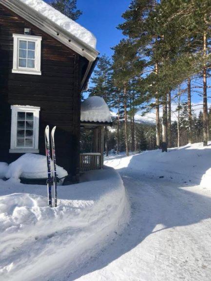 Breiva Gjestegaard Og Glamping Bo (Telemark) Exterior foto